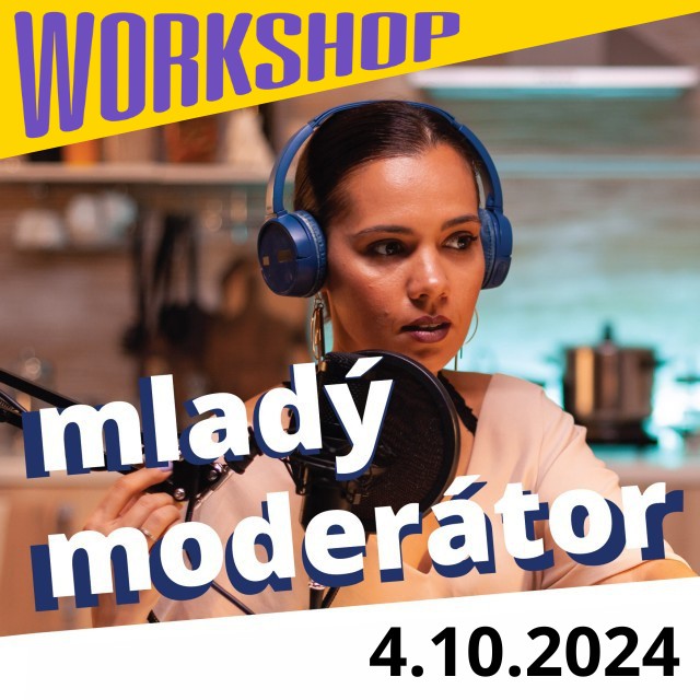 2024-10-29-mlady-moderator-workshop-1b