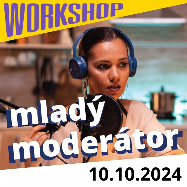 2024-10-29-mlady-moderator-workshop-2b