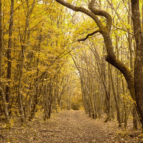 jesena-krajina20-plagat-web