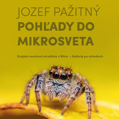 pohlady-do-mikrosveta-plagat-web