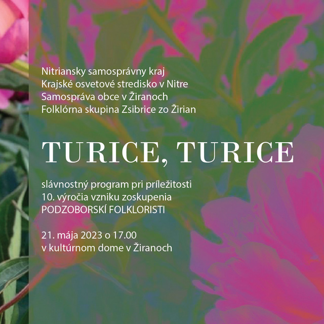 turice-turice-23-plagat-web