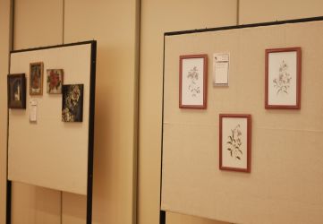 2025 06 27 stokvetovy vernisaz