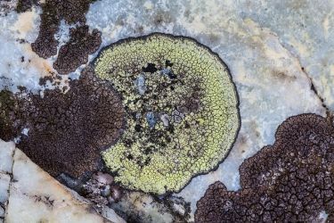 zablesky tvorivosti20 19