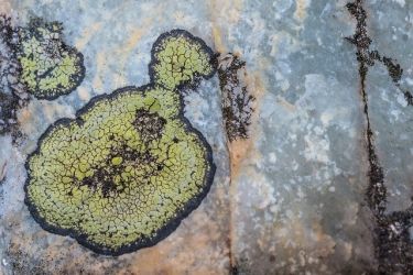 zablesky tvorivosti20 21