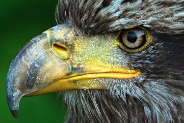 zablesky tvorivosti20 22