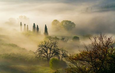 zablesky tvorivosti20 33