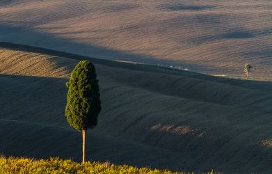 zablesky tvorivosti20 35