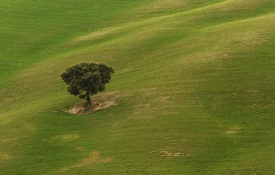 zablesky tvorivosti20 36