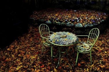 ocami fotografov finta 17