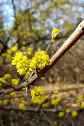 ocami fotografov pospechova 1