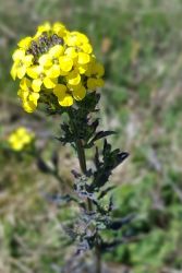 ocami fotografov pospechova 2