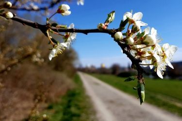 ocami fotografov pospechova 3