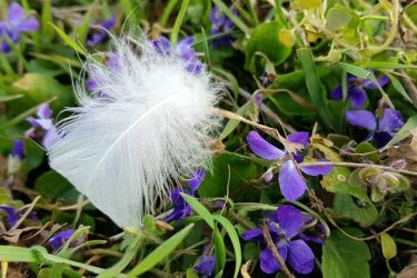 ocami fotografov pospechova 5