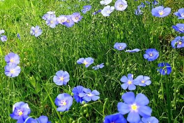 ocami fotografov pospechova 6