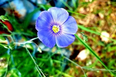 ocami fotografov pospechova 8