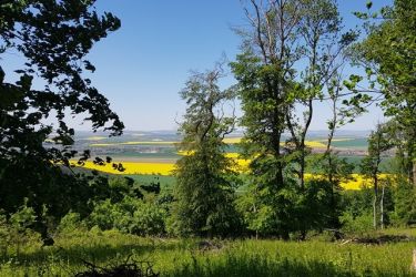 ocami fotografov pospechova 9