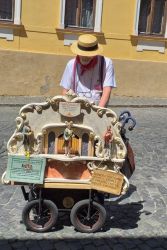 nitra mila nitra20 22