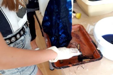 vytvarne cesty03.07.20 1