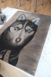 vytvarne cesty07.03.20 5