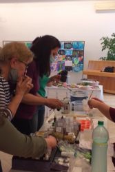 dezinfekcne mydla20 14