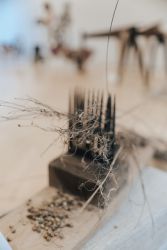 od lanu po platno20 12