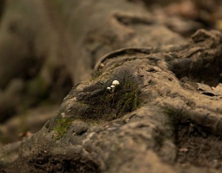 Jesenná krajina 2020