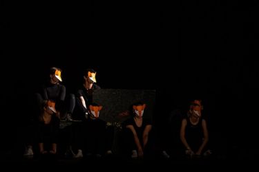 fad20 les obesenych lisok 08