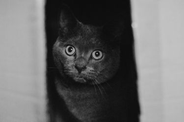 amfo 20 sk 16cb vv 015 ef