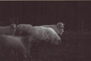 amfo 20 sk 16cb vv 017 mh