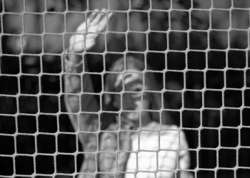 amfo 20 sk 16cb vv 024 ss