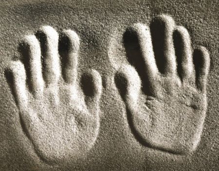 Amfo 2020 SK - do 16 čb vystavujúci