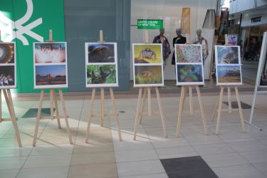 fotop vystava 2018 25