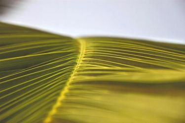 amfo 20 sk 16ff vv 039 mg