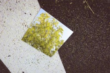 amfo 20 sk 16ff vv 042 ks