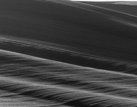 Amfo 2020 - do 21 čb vystavujúci