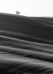 amfo 20 sk 21cb vv 064 gu