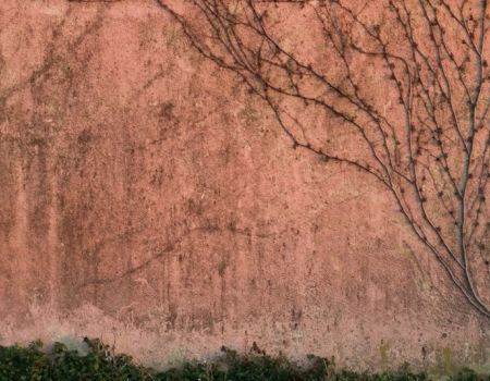 Amfo 2020 - do 21 ff ocenení