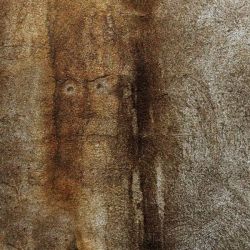 amfo 20 sk 60ff cu 118 vb