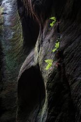 amfo 20 sk 60ff cu 120 lk