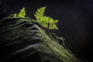 amfo 20 sk 60ff cu 121 lk