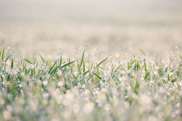 amfo 20 sk 60ff cu 124 jv