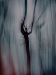 amfo 20 sk 60ff vv 131 di