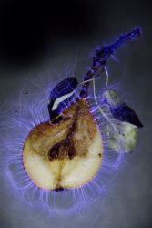 amfo 20 sk 60ff vv 134 ji