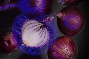 amfo 20 sk 60ff vv 135 ji