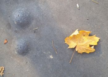 amfo 20 sk 60ff vv 143 am