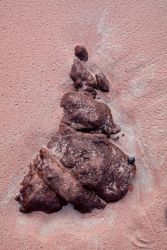 amfo 20 sk 60ff vv 145 js