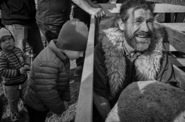 amfo 20 sk 99cs vv 179 jb