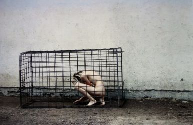 amfo 20 sk 99cs vv 190 kf