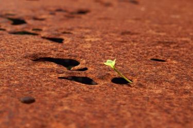 amfo20 nove v starom 03 ak