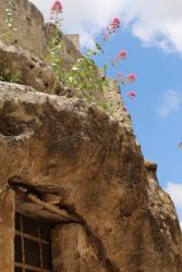 amfo20 nove v starom 11 kp